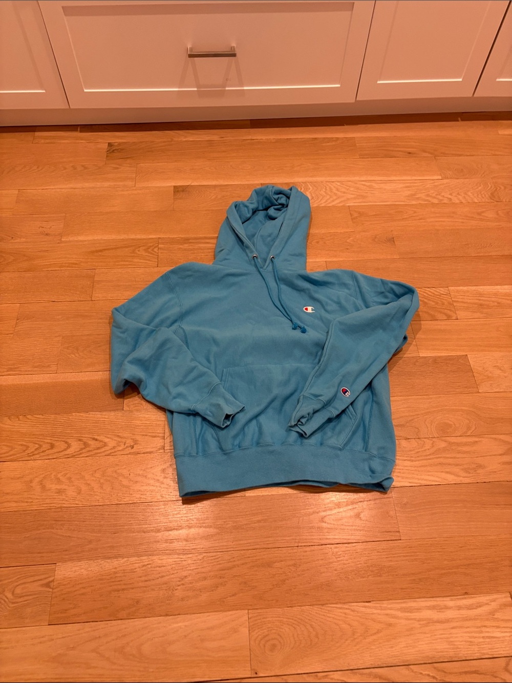Champion Men's Teal Pullover Hoodie